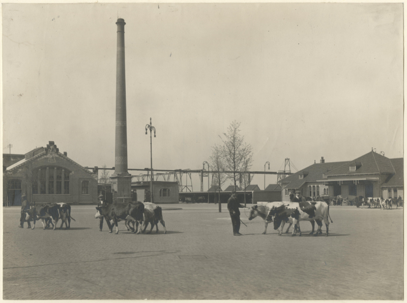 Slachthuisplein Gemeentelijk Slachthuis, 1912, maker Dienst stadsontwikkeling en volkshuisvesting